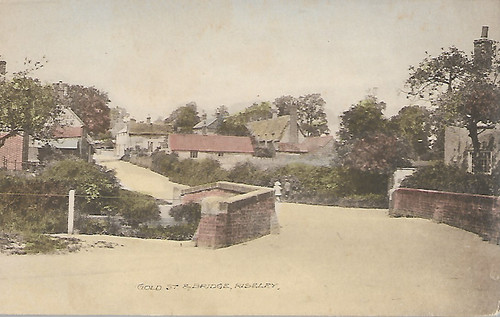 Riseley bedfordshire gold - bedfordshire,