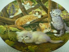 Decorative Cat Picture Plate