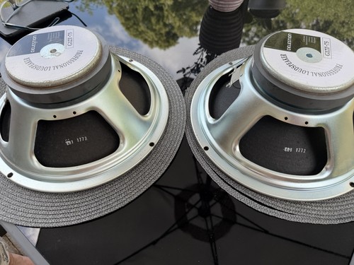 Matched pair celestion g12t - matched,