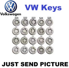 Volkswagen VW Security Master
