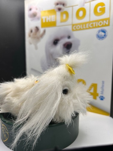 The dog collection maltese - dog, 24