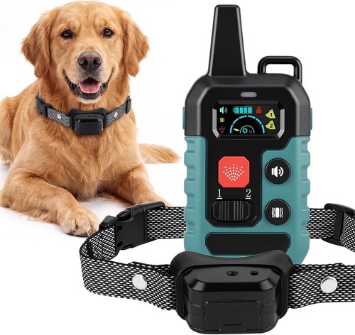 Dog training collar with - dog,