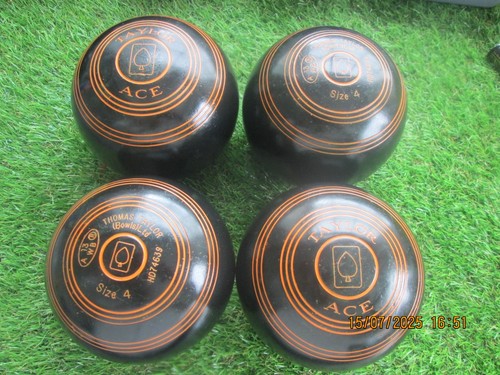 Great taylor ace - ace, indoor
