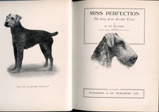 AIREDALE TERRIER Illustrated