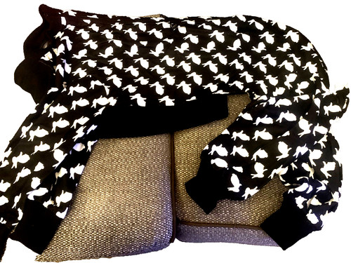 Dog pyjamas for greyhounds - dog,