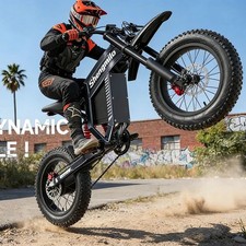 Long-Range 20” Fat Tyre