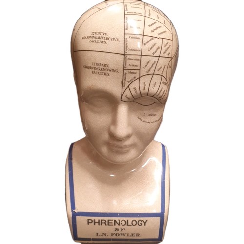 Large pherenology head bank - pherenology,