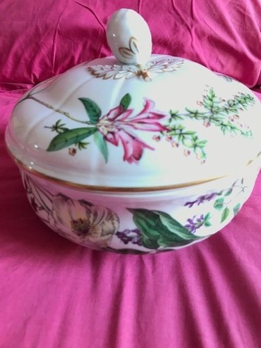 Spode stafford flowers nepeta - spode,