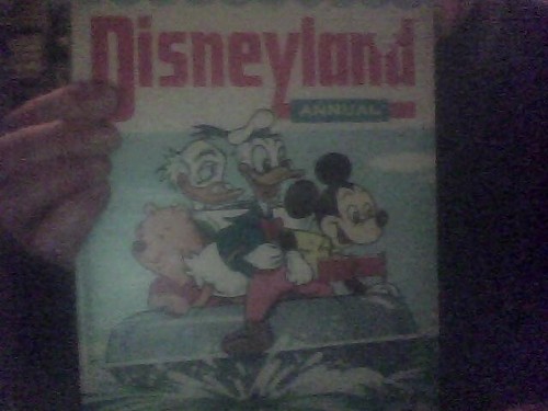 Disneyland annual copyright - annual,