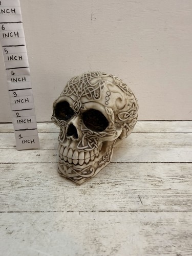 Skull ormament with - ormament,