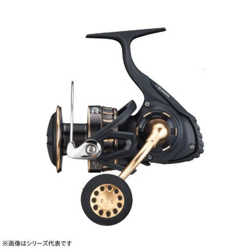 Daiwa 10000 h - 23, sw