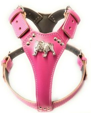 Cute Deep PInk Leather Dog Harness Large with English Bulldog Badge