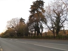 Photo 6x4 Hythe Road, Mersham  c2016