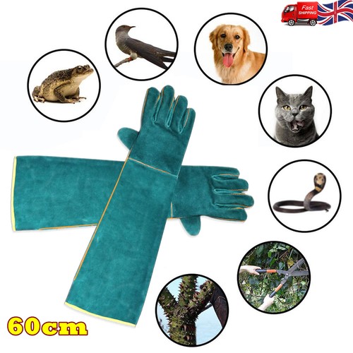 Animal handling gloves - animal,