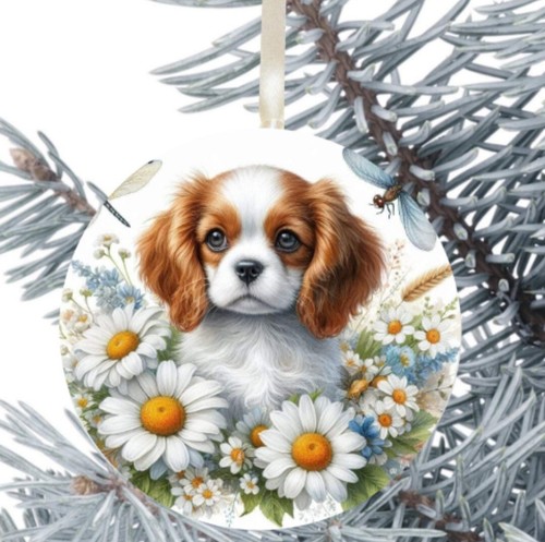 King charles cavalier spaniel - charles,