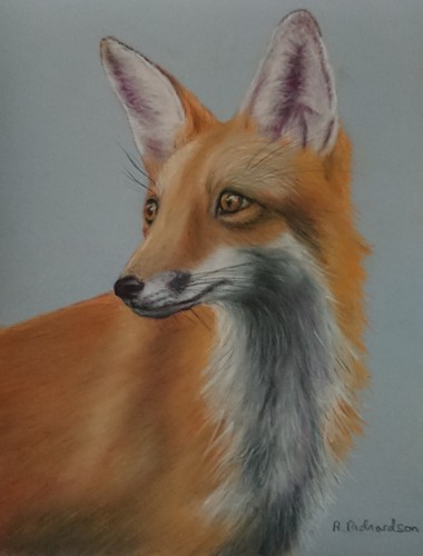Pastel painting young - painting, of