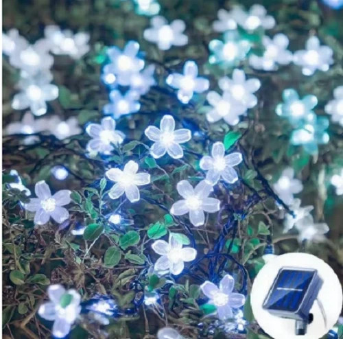 Solar cherry garden - cherry, blossom