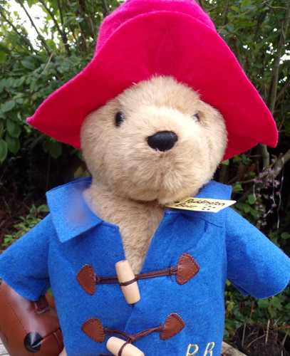 Paddington bear with red - bear,