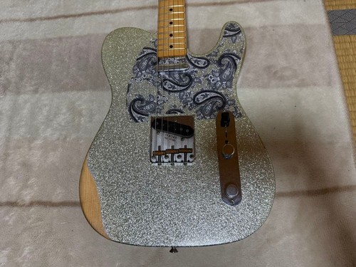 Fender brad paisley road - paisley,