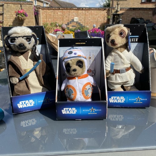 Meerkat disney star - ,