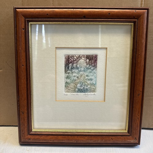 Sally winter limited - sally,