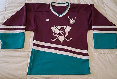 Minor mighty ducks hockey - mighty,