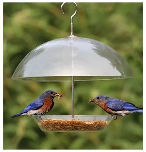 Hanging bird seed feeder - hanging,