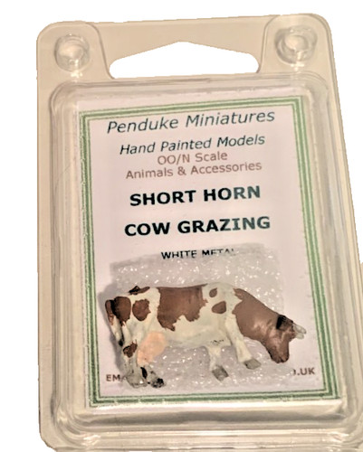 Single shorthorn cow - shorthorn,