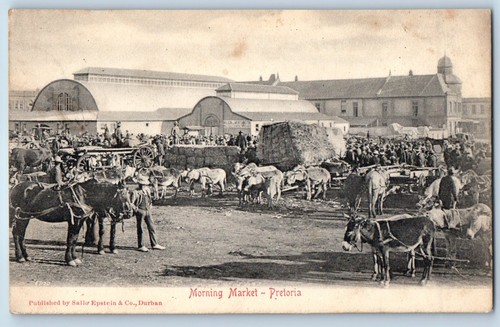South africa postcard donkey - south,