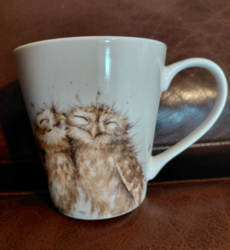 Wrendale the twits owl mug - the,