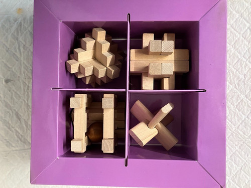 Gadget shop wooden brain - gadget,