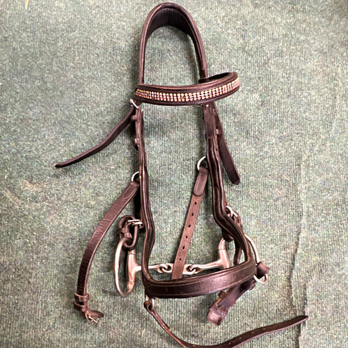 Rambo micklem bridle