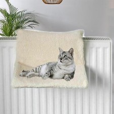 🔥Cat Kitten Hanging