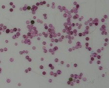 100x Top cap jewels for watch