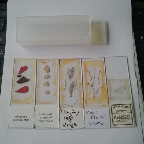 Box microscope slides - 5,