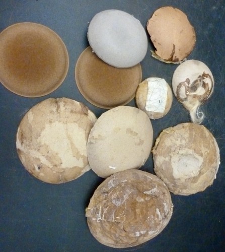 Head pates for antique - head,