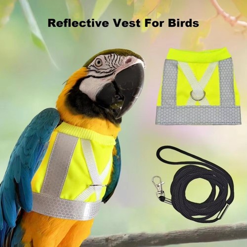 Parrot flying harness - parrot,