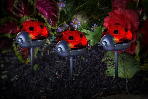 Solar ladybird stake lights - ladybird,