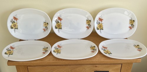 Vintage autumn glory pyrex - vintage,