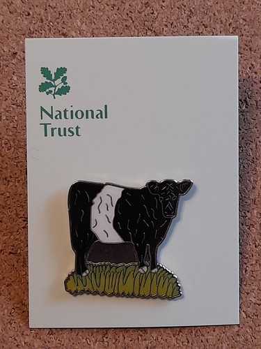 National trust boxhill belted - national,