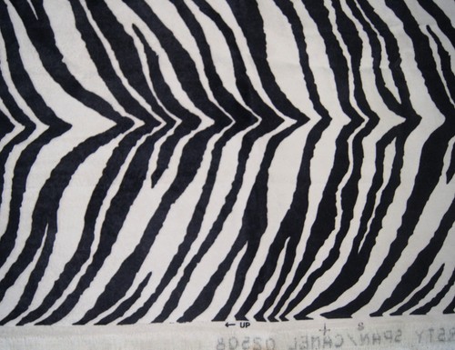 Yard black white zebra - 1/2,