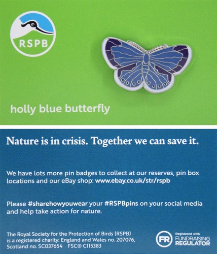 Rspb pin badge niic holly - rspb,