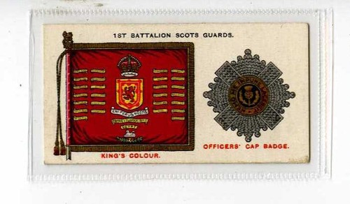 Wills regimental - wills, nz,regimental