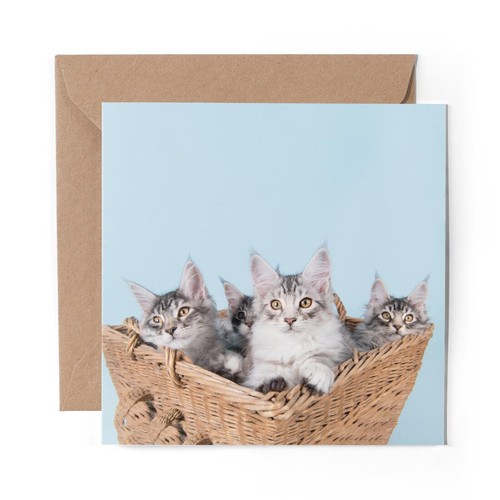 Blank greeting card cute - blank,