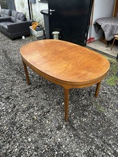 Nathan G Plan Style Extending