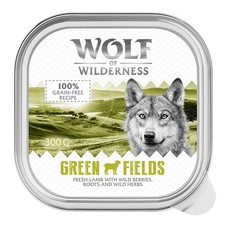 Wolf Of Wilderness With Lamb