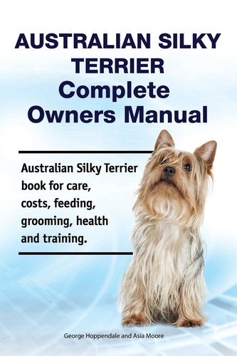 Australian silky terrier - australian,