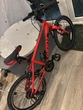 Giant ARX 20 Kids Mountain Bike Red