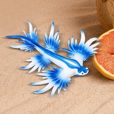 Simulation Sea Slug Model