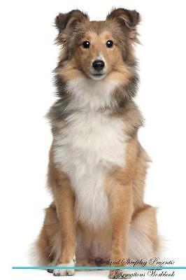 Shetland sheepdog affirmations - shetland,